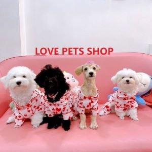 Quần áo thú cưng - Hộ Kinh Doanh Love Pets Shop